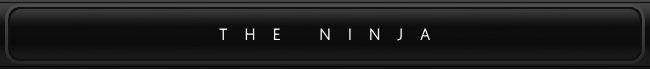 三十三のTHE NINJAバナー